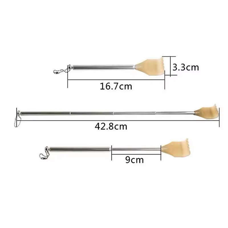 پشت خارون جمع شونده مسافرتی